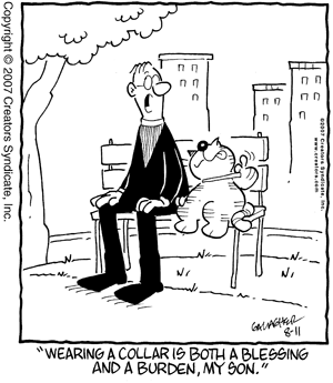 heathcliff